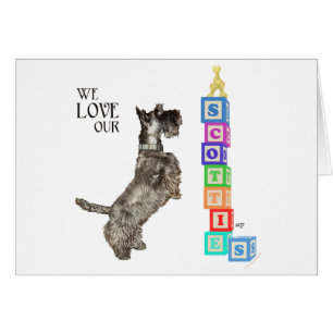 Scottie vindt een prijs