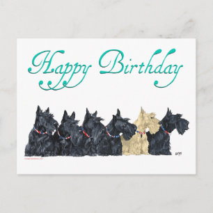 Scotties All in a Row Briefkaart