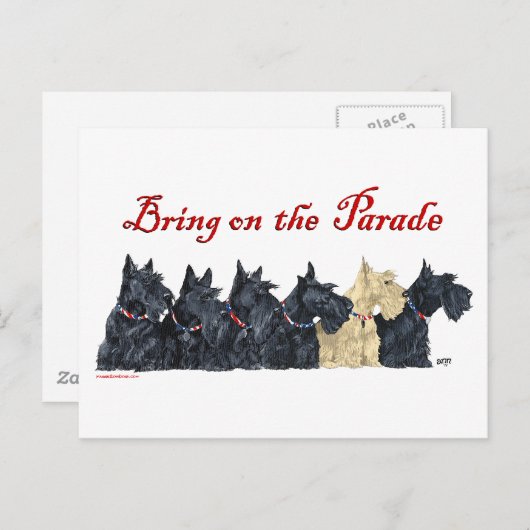 Scotties All in a Row Briefkaart (Voorkant / Achterkant)