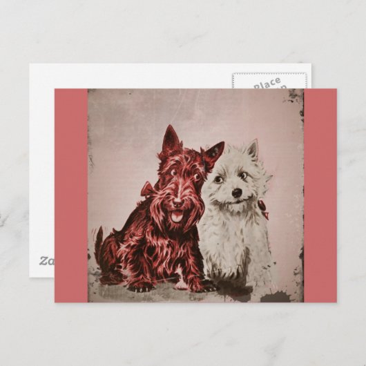 Scotties in Love Briefkaart (Voorkant / Achterkant)