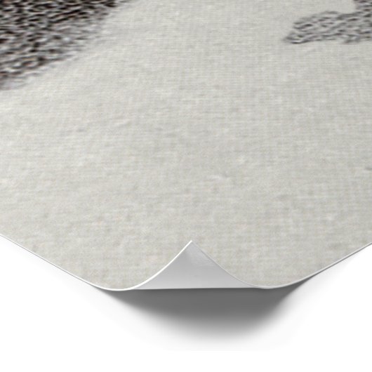 Scotties Surreal Winter Night Poster (Hoek)