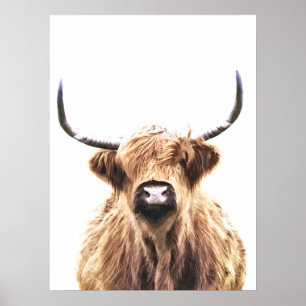 Scottish animal portret van de koe Highland Poster