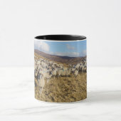 Scottish Blackface Sheep Herd Mok (Midden)