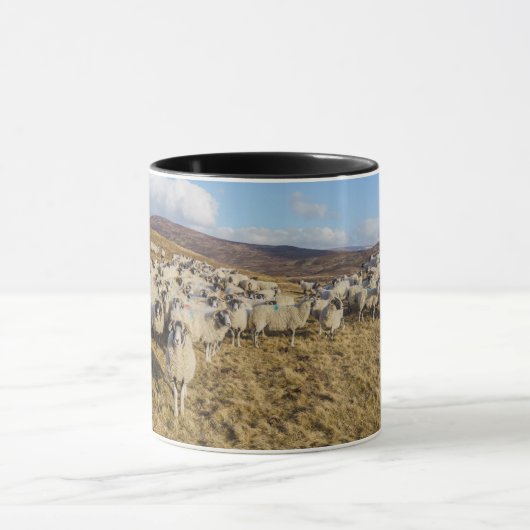 Scottish Blackface Sheep Herd Mok (Midden)