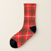 Scottish Clan Duke of Rothesay Tartan Pset Sokken (Links - buitenkant)