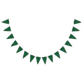 Scottish Clan Henderson Tartan Vlaggetjes (Alle)