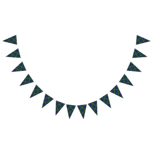 Scottish Clan MacEwen Tartan Vlaggetjes (Alle)