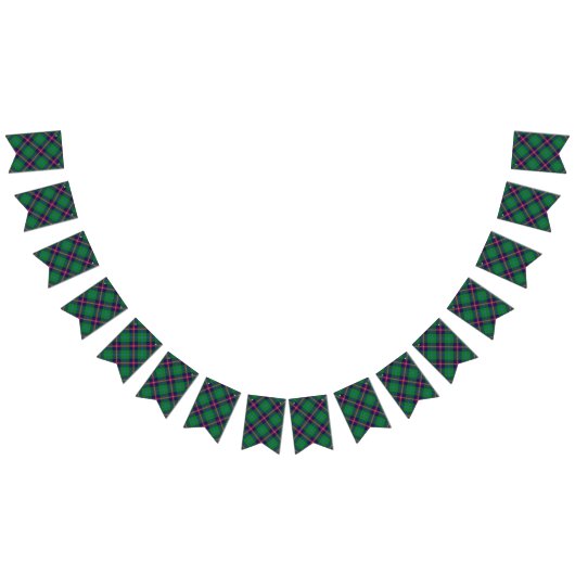 Scottish Clan Young Tartan Vlaggetjes (Alle)