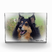 Scottish Collie Dog. Fotoblokken (Voorkant)