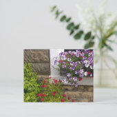 Scottish cottage window met petunias en rozen briefkaart (Staand voorkant)