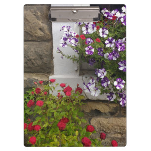 Scottish cottage window met petunias en rozen klembord