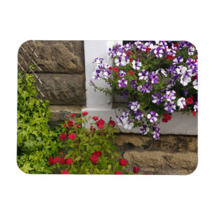 Scottish cottage window met petunias en rozen magneet