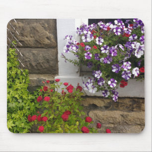 Scottish cottage window met petunias en rozen muismat