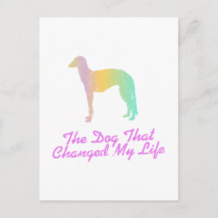 Scottish Deerhound Briefkaart