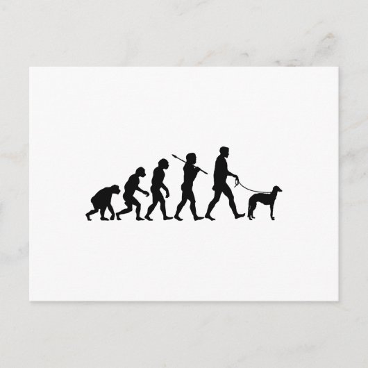 Scottish Deerhound Briefkaart (Voorkant)