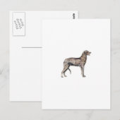 Scottish Deerhound Briefkaart (Voorkant / Achterkant)