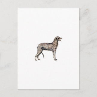 Scottish Deerhound Briefkaart