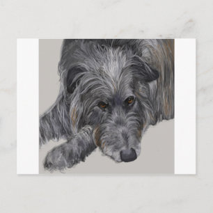 Scottish Deerhound Briefkaart
