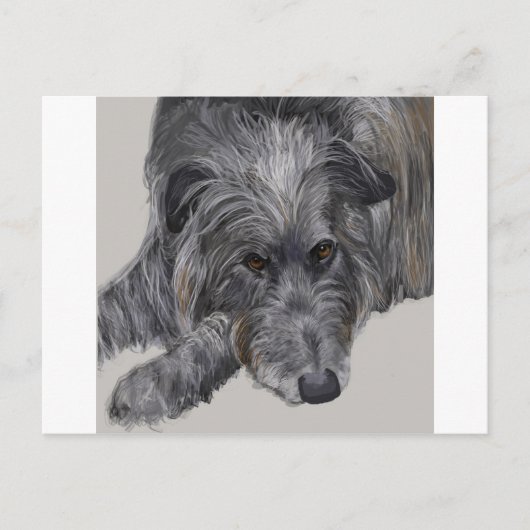 Scottish Deerhound Briefkaart (Voorkant)