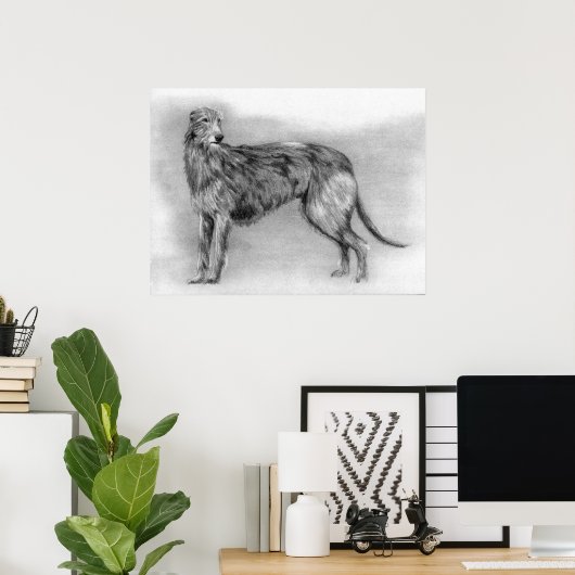 Scottish Deerhound Dog Portrait Poster (Thuiskantoor)