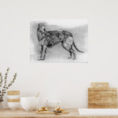 Scottish Deerhound Dog Portrait Poster (Keuken)