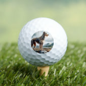 Scottish Deerhound Golfballen (Insitu Shirt)