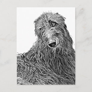 Scottish deerhound Noir et Blanc Briefkaart