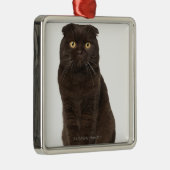 Scottish Fold (18 maanden oud) zittend Metalen Ornament (Rechts)