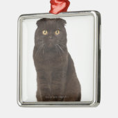 Scottish Fold (18 maanden oud) zittend Metalen Ornament (Links)