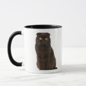 Scottish Fold (18 maanden oud) zittend Mok (Links)