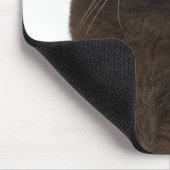 Scottish Fold (18 maanden oud) zittend Muismat (Hoek)