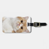 Scottish Fold Cat Bagagelabel (Voorkant horizontaal)