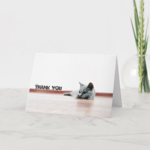 Scottish Fold Cat Kitten Super Cute "Bedankt" Bedankkaart