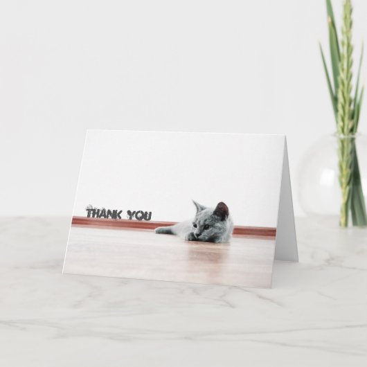 Scottish Fold Cat Kitten Super Cute "Bedankt" Bedankkaart (Voorkant)