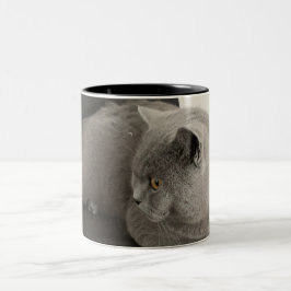 scottish fold cat koffie mok