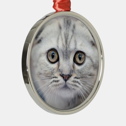 Scottish Fold Cat Metalen Ornament (Rechts)