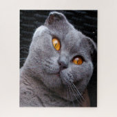 Scottish Fold Cat Pedigree Legpuzzel (Verticaal)