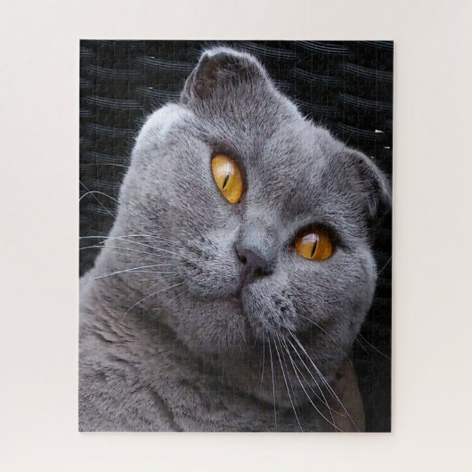 Scottish Fold Cat Pedigree Legpuzzel (Verticaal)