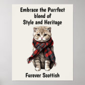 Scottish Fold Cat Poster (Voorkant)