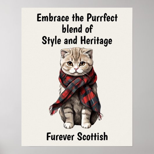 Scottish Fold Cat Poster (Voorkant)