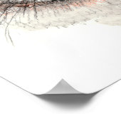 Scottish Fold Cat Poster (Hoek)