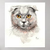 Scottish Fold Cat Poster (Voorkant)