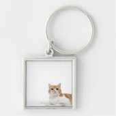Scottish Fold Cat Sleutelhanger (Voorkant)
