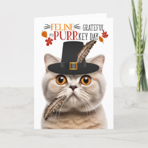 Scottish Fold Cream Cat dankbaar voor PURRkey Day Feestdagen Kaart