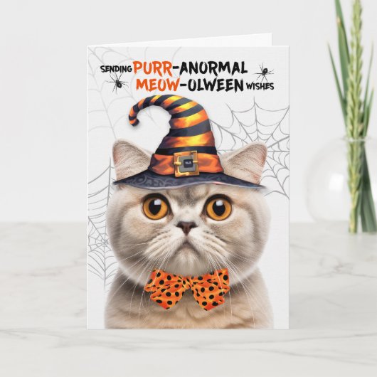 Scottish Fold Cream Cat PURRanormale MEOWolween Feestdagen Kaart (Voorkant)
