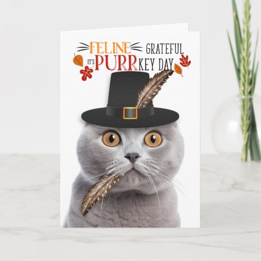 Scottish Fold Grey Cat dankbaar voor PURRkey Day Feestdagen Kaart (Voorkant)