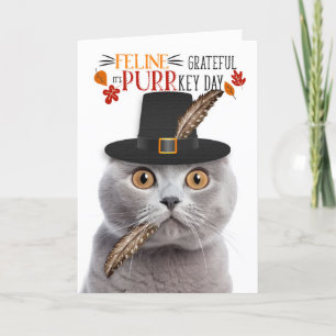 Scottish Fold Grey Cat dankbaar voor PURRkey Day Feestdagen Kaart