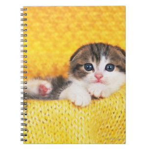 Scottish Fold; is een kattenras met een natuurlijk Notitieboek