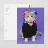Scottish Fold Jester Briefkaart (Voorkant / Achterkant)