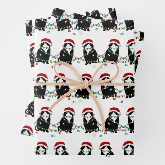 Scottish Fold Kerstproblemen Inpakpapier Vel (In situ)